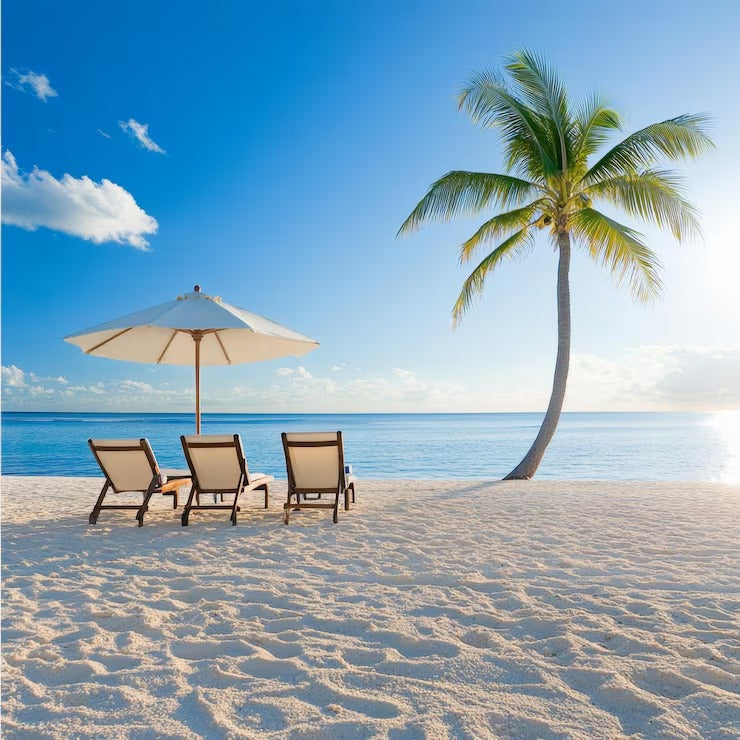 Summer Top Products