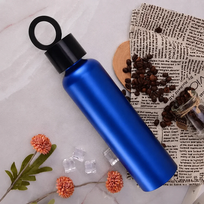 Vacuum Insulated Water Bottle with Holder │زجاجة مياه معزولة بتفريغ الهواء مع حامل