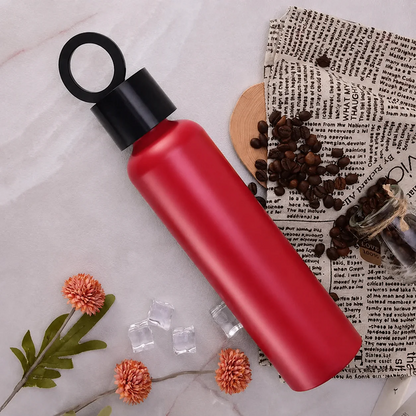 Vacuum Insulated Water Bottle with Holder │زجاجة مياه معزولة بتفريغ الهواء مع حامل
